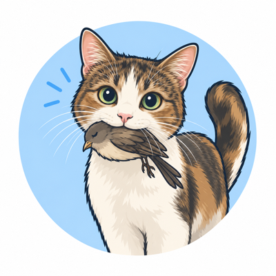 Boba the cat
